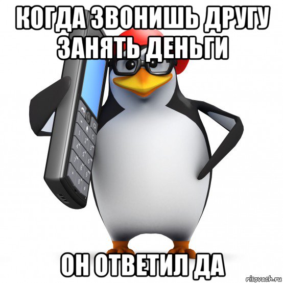 когда звонишь другу занять деньги он ответил да, Мем   Пингвин звонит