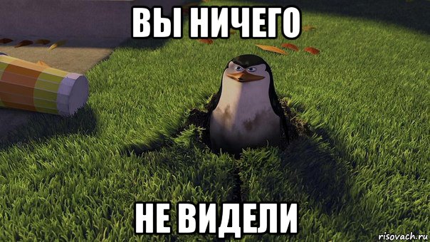 вы ничего не видели