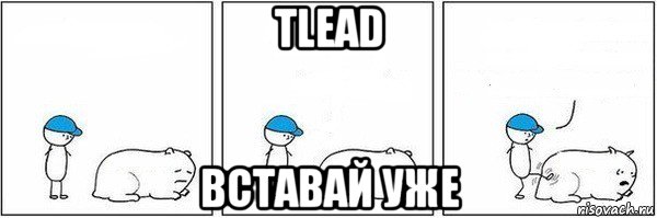 tlead вставай уже