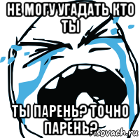 не могу угадать кто ты ты парень? точно парень?, Мем плачет