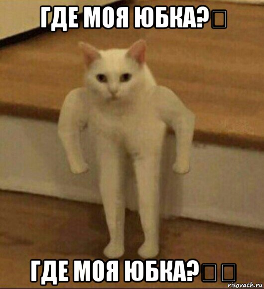 где моя юбка?♡ где моя юбка?♡♡, Мем  Полукот