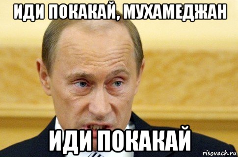 иди покакай, мухамеджан иди покакай, Мем путин