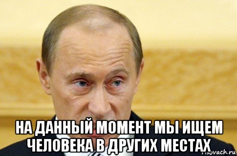  на данный момент мы ищем человека в других местах, Мем путин