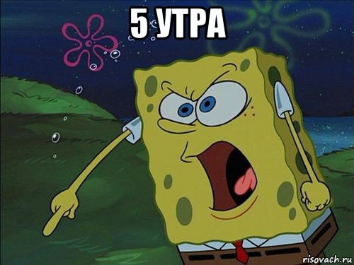 5 утра 