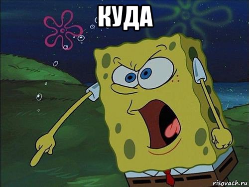 куда 