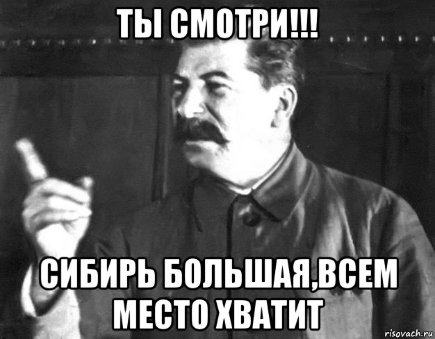 ты смотри!!! сибирь большая,всем место хватит, Мем  Сталин пригрозил пальцем