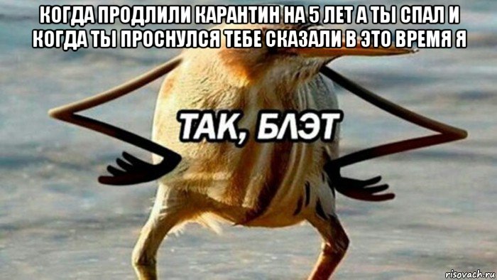 когда продлили карантин на 5 лет а ты спал и когда ты проснулся тебе сказали в это время я 