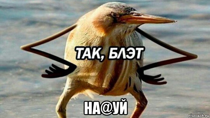  на@уй