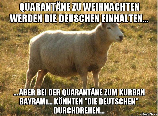 quarantäne zu weihnachten werden die deuschen einhalten... ... aber bei der quarantäne zum kurban bayramı... könnten "die deutschen" durchdrehen...