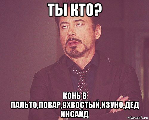 ты кто? конь в пальто,повар,9хвостый,изуно,дед инсайд, Мем твое выражение лица