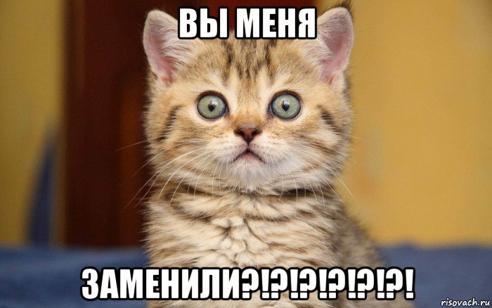 вы меня заменили?!?!?!?!?!?!