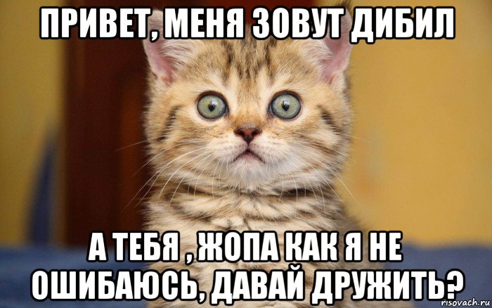 привет, меня зовут дибил а тебя , жопа как я не ошибаюсь, давай дружить?, Мем  удивление