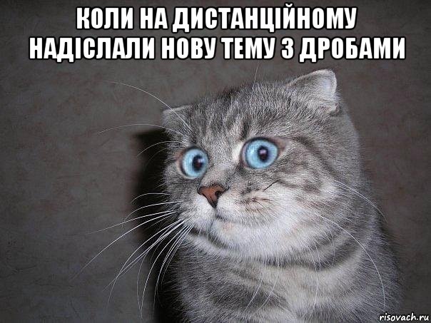 коли на дистанційному надіслали нову тему з дробами , Мем  удивлённый кот