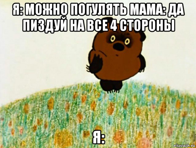 я: можно погулять мама: да пиздуй на все 4 стороны я: