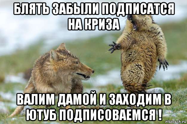 блять забыли подписатся на криза валим дамой и заходим в ютуб подписоваемся !, Мем Волк и суслик