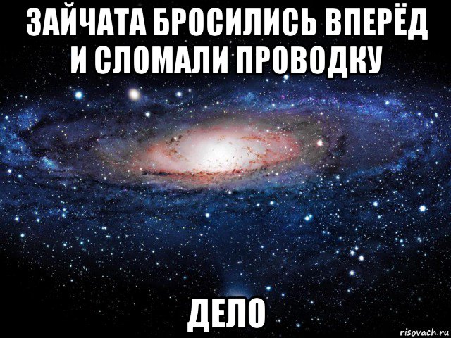 зайчата бросились вперёд и сломали проводку дело, Мем Вселенная