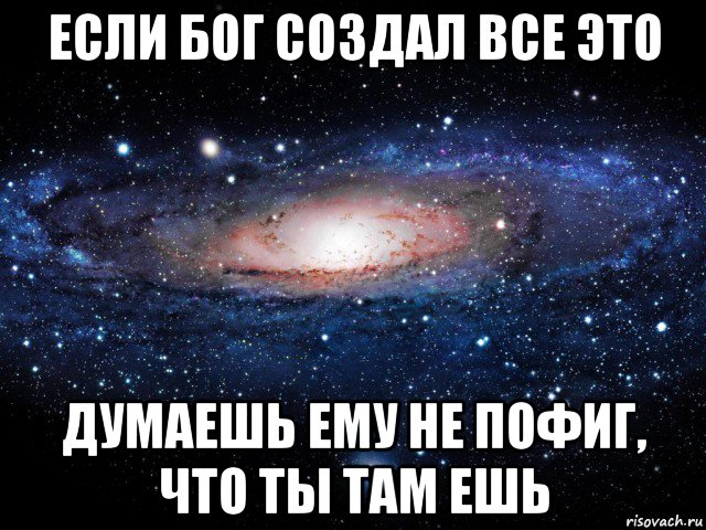 если бог создал все это думаешь ему не пофиг, что ты там ешь, Мем Вселенная