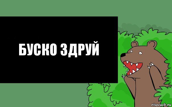 Буско Здруй, Комикс Надпись медведя из кустов