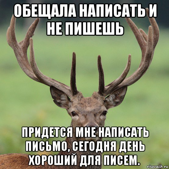 обещала написать и не пишешь придется мне написать письмо, сегодня день хороший для писем., Мем  Я олень