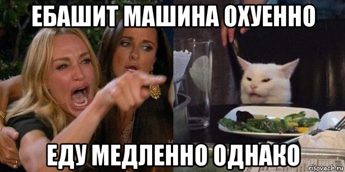 ебашит машина охуенно еду медленно однако, Мем Женщина орёт на кота