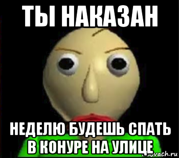 ты наказан неделю будешь спать в конуре на улице