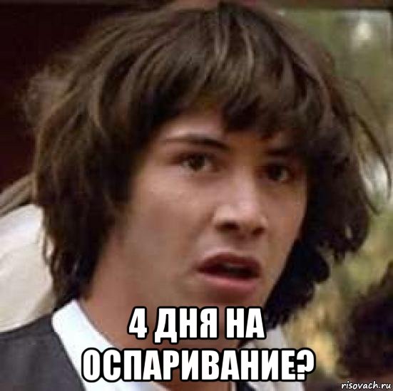  4 дня на оспаривание?