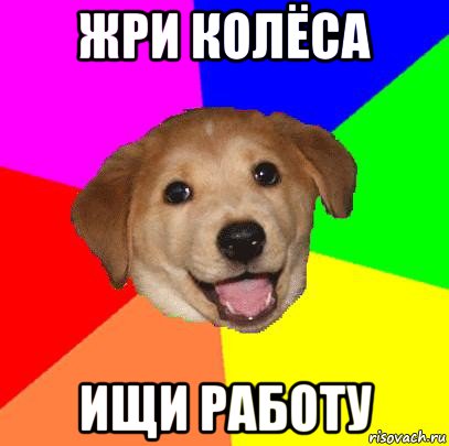 жри колёса ищи работу, Мем Advice Dog