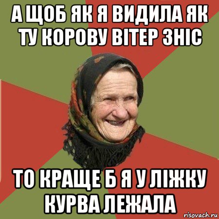 а щоб як я видила як ту корову вітер зніс то краще б я у ліжку курва лежала, Мем  Бабушка