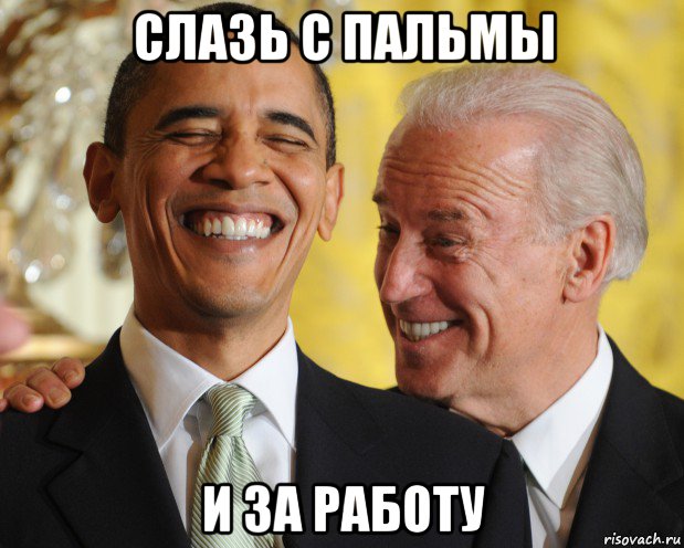 слазь с пальмы и за работу, Мем Барак и джо