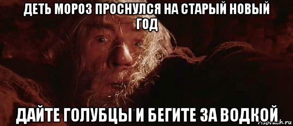 деть мороз проснулся на старый новый год дайте голубцы и бегите за водкой