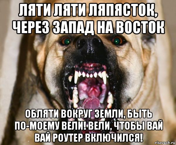 ляти ляти ляпясток, через запад на восток обляти вокруг земли, быть по-моему вели! вели, чтобы вай вай роутер включился!, Мем бешеная собака