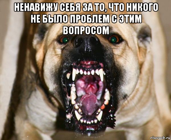 ненавижу себя за то, что никого не было проблем с этим вопросом 