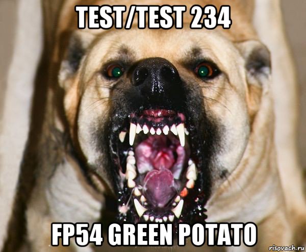 test/test 234 fp54 green potato