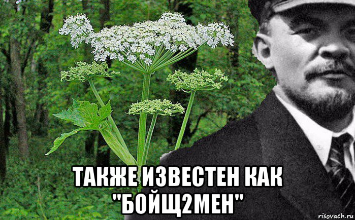  также известен как "бойщ2мен", Мем Борщевик и Ленин