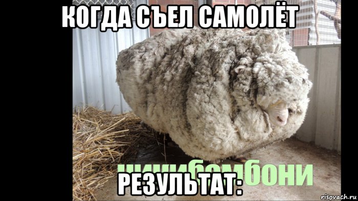 когда съел самолёт результат:, Мем Чикибанбон