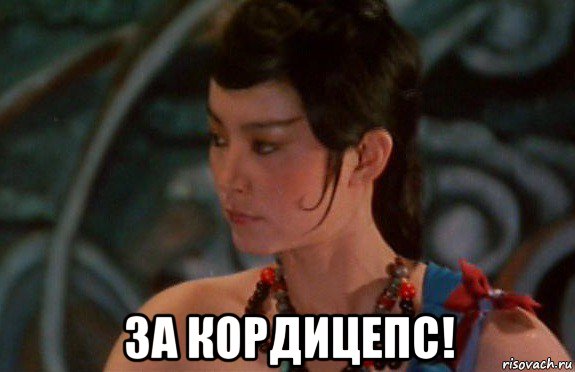  за кордицепс!, Мем China