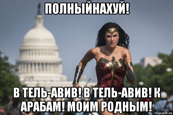 полныйнахуй! в тель-авив! в тель-авив! к арабам! моим родным!, Мем Чудо-Женщина
