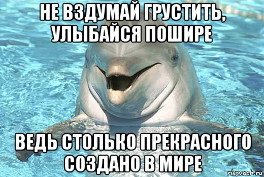 не вздумай грустить, улыбайся пошире ведь столько прекрасного создано в мире, Мем Дельфин