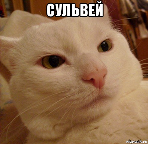 сульвей 