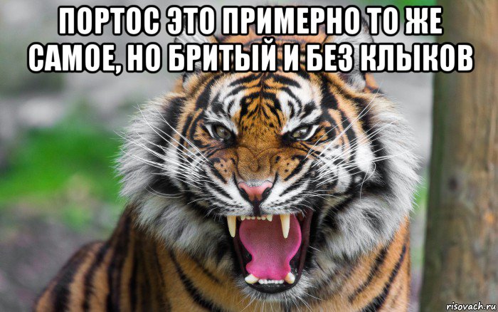 портос это примерно то же самое, но бритый и без клыков , Мем ДЕРЗКИЙ ТИГР