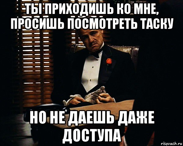 ты приходишь ко мне, просишь посмотреть таску но не даешь даже доступа, Мем Дон Вито Корлеоне