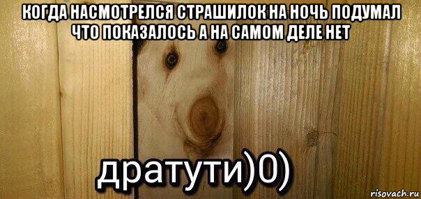 когда насмотрелся страшилок на ночь подумал что показалось а на самом деле нет , Мем  Дратути