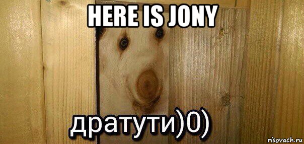 here is jony , Мем  Дратути