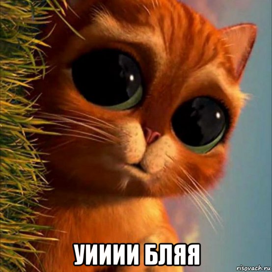  уииии бляя, Мем Еххх