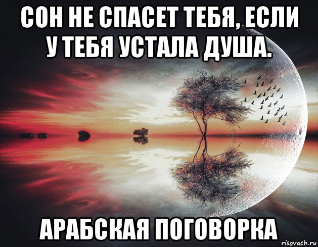 сон не спасет тебя, если у тебя устала душа. арабская поговорка, Мем Гораке