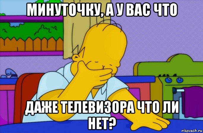 минуточку, а у вас что даже телевизора что ли нет?, Мем Homer simpson facepalm