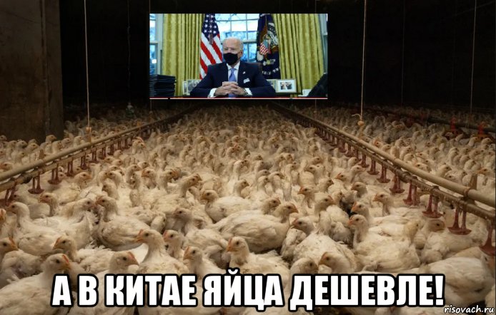  а в китае яйца дешевле!, Мем Joe Biden