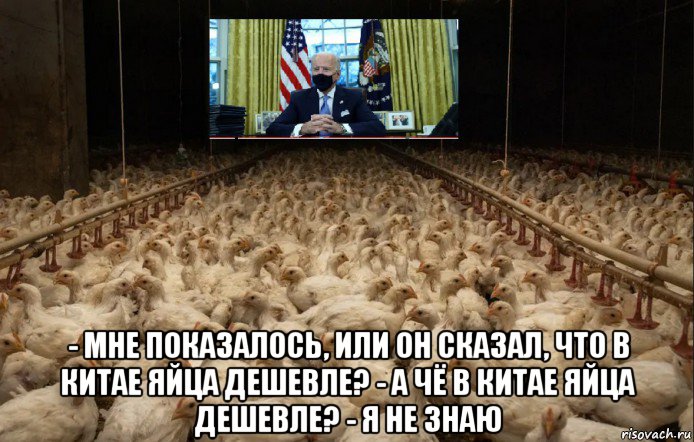  - мне показалось, или он сказал, что в китае яйца дешевле? - а чё в китае яйца дешевле? - я не знаю, Мем Joe Biden