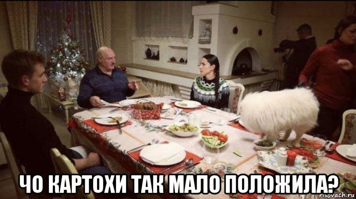  чо картохи так мало положила?, Мем Картоха