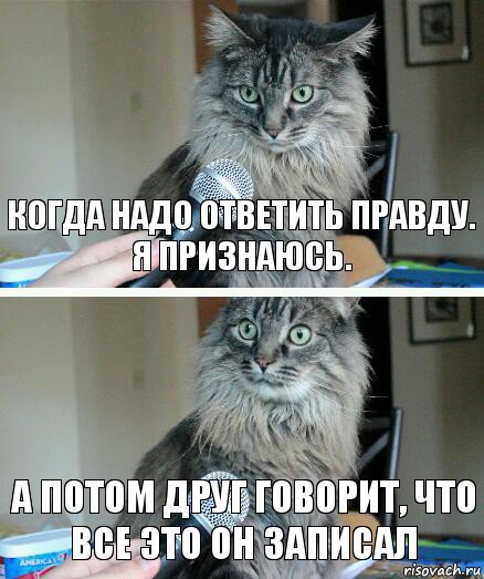 когда надо ответить правду. Я признаюсь. а потом друг говорит, что все это он записал, Комикс  кот с микрофоном